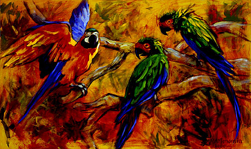 Parrots